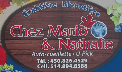 Érablière et bleuetière Mario et Nathalie