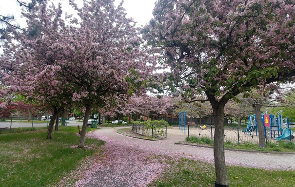 Parc André-Cailloux